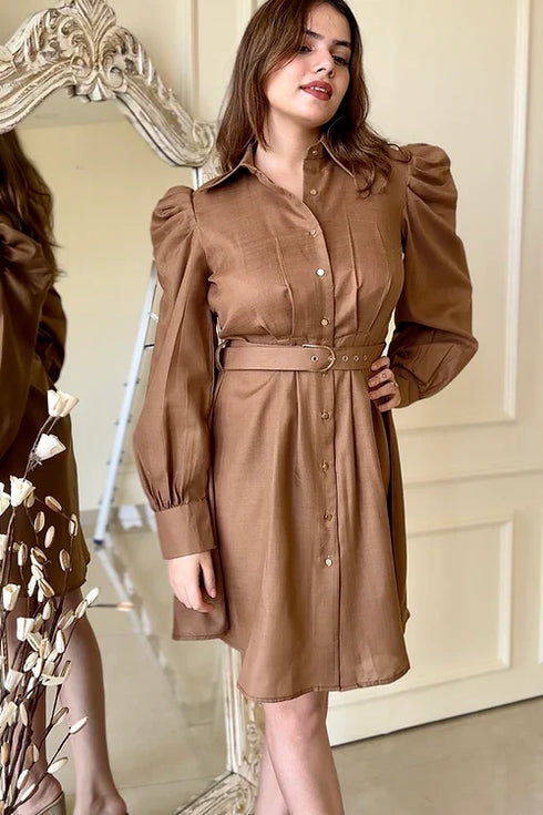 Tan Brown Shirt Dress